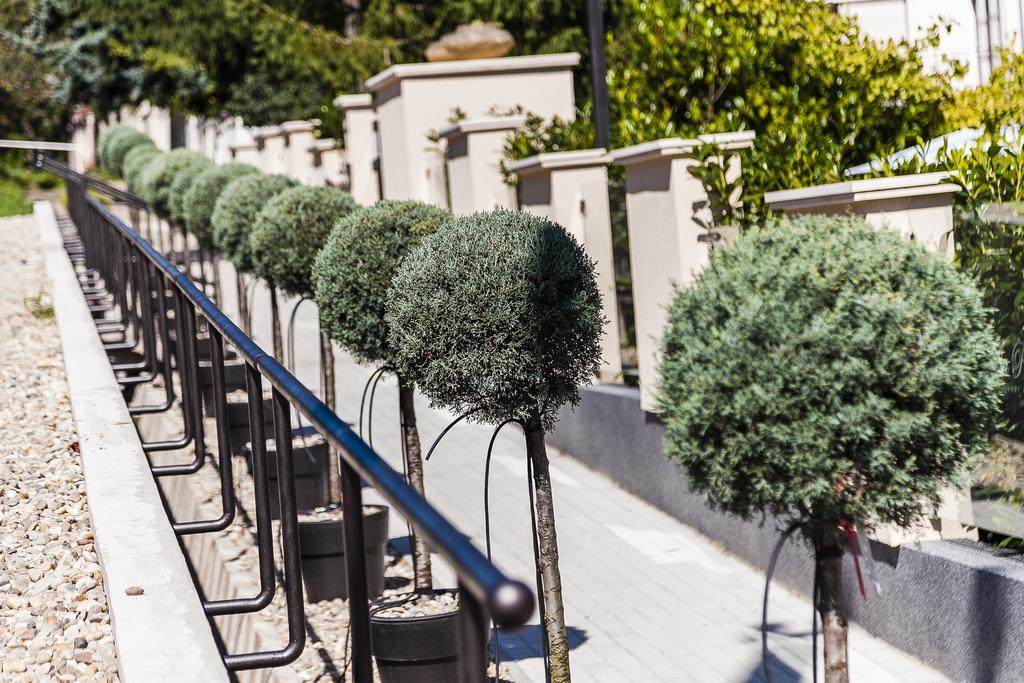 Villa Rosa Boutique Hotel Budapest Ngoại thất bức ảnh